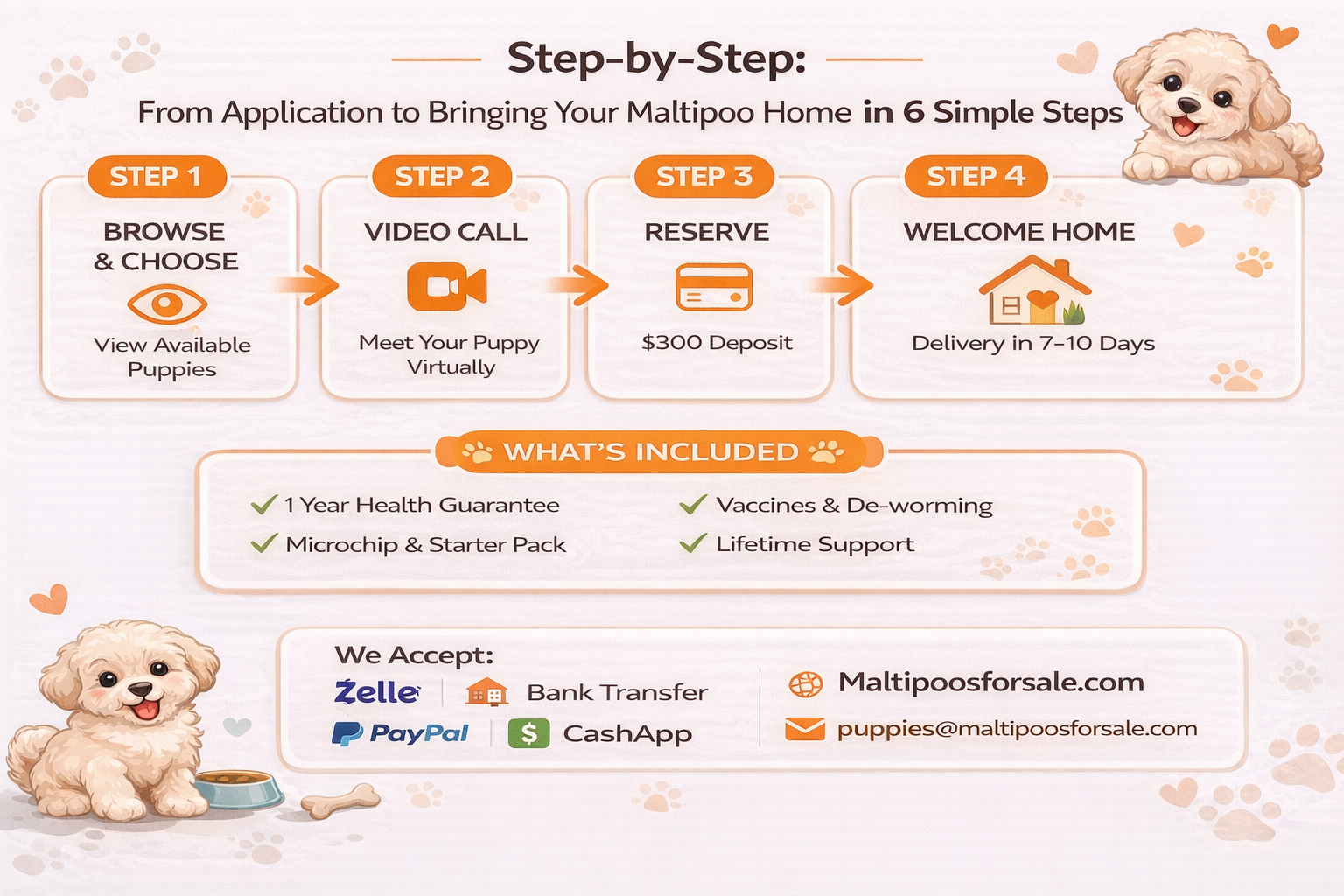 How Do I Buy a Maltipoo Puppy from MFS? | The Step-by-Step Journey Step-by-step infographic titled "How Do I Buy a Maltipoo Puppy from MFS?" showing a 4-step process: Browse & Choose, Video Call, Reserve, and Welcome Home with MFS contact and payment details.